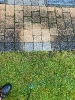 Bilder